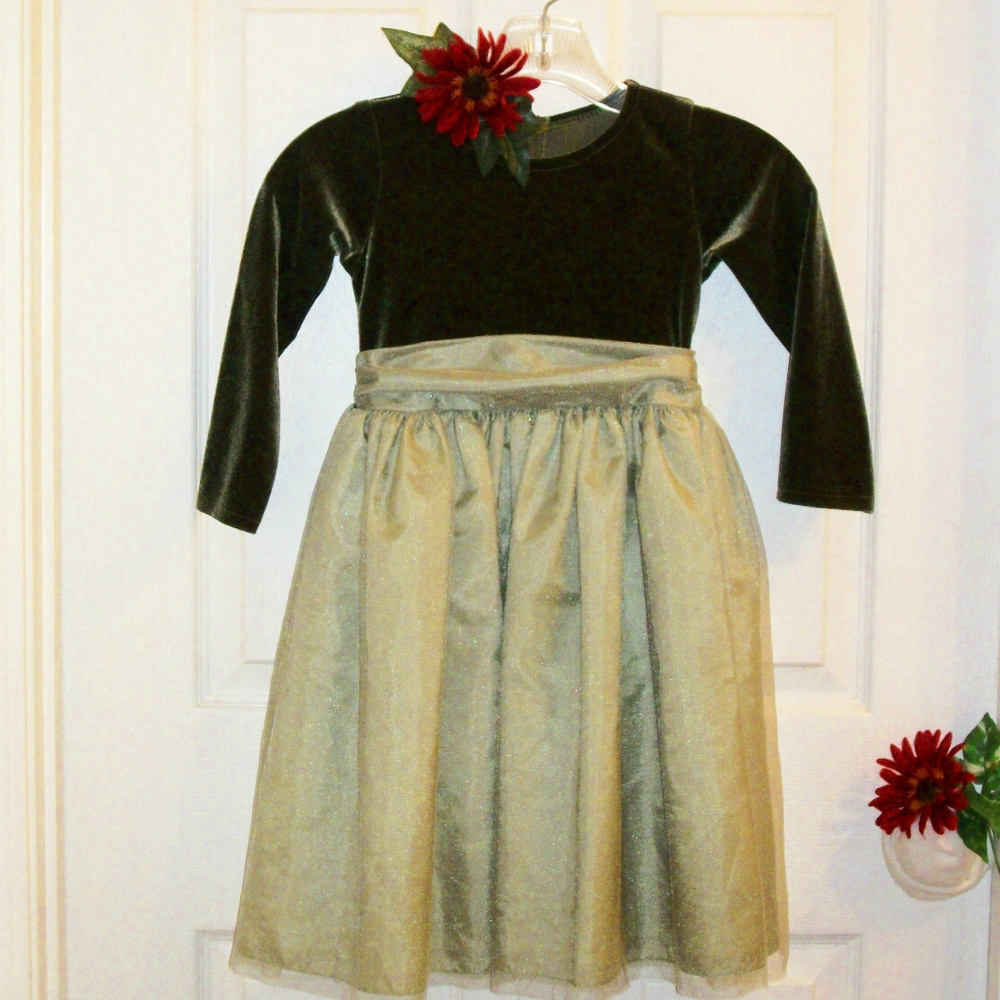Swea Pea & Lilli Girls Velvet & Tulle Dress
